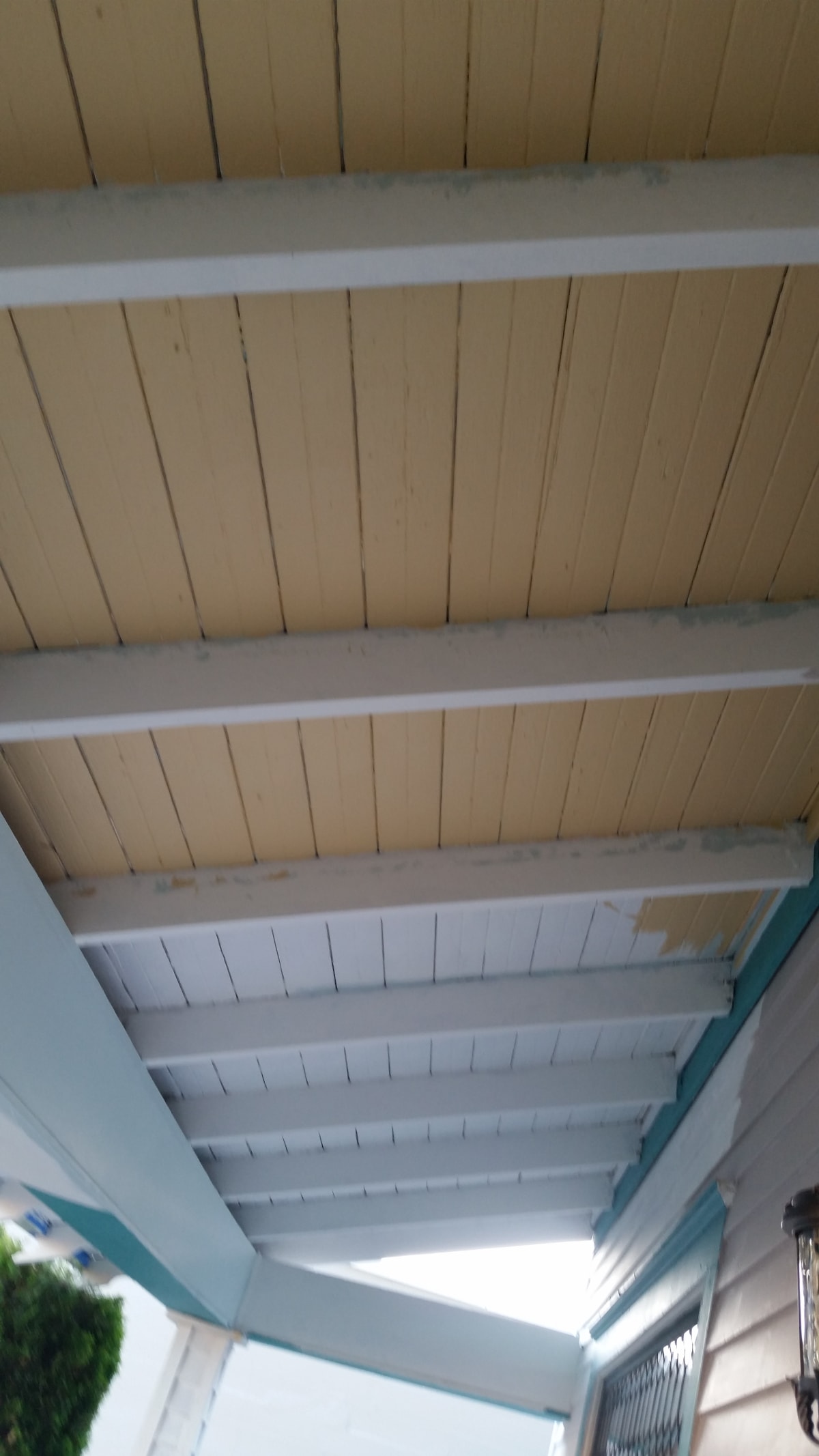 Adorn After Pics - ADORN BEFORE PICS Gallery Image