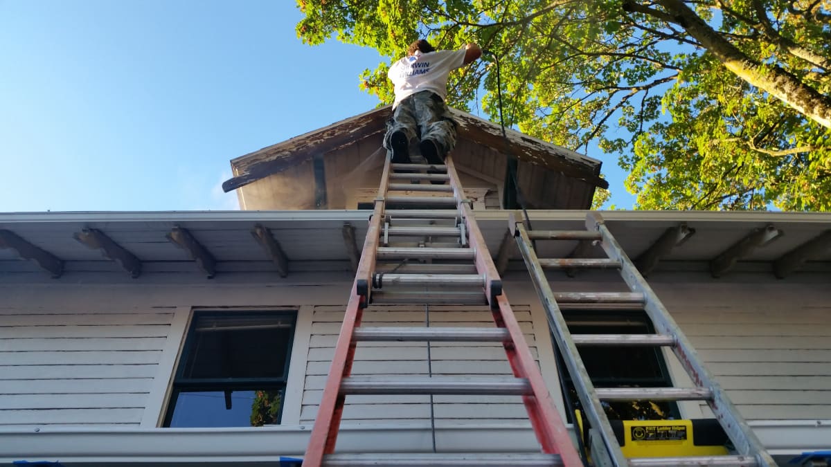 Adorn After Pics - ADORN BEFORE PICS Gallery Image