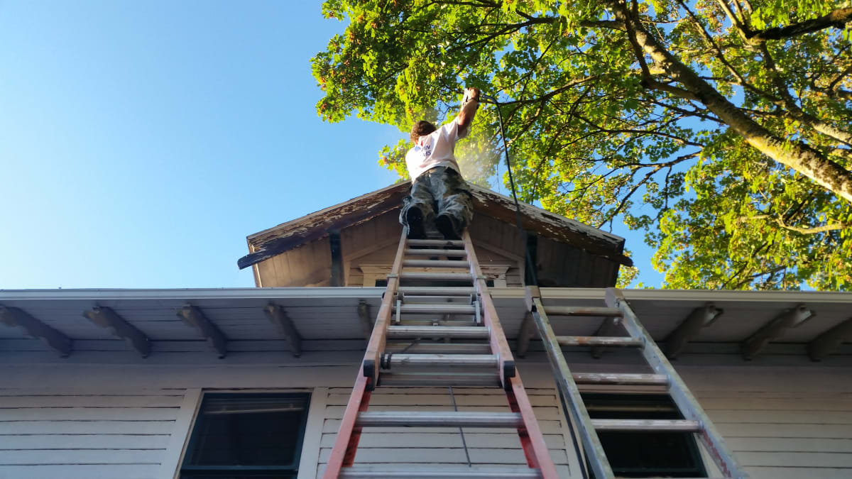 Adorn After Pics - ADORN BEFORE PICS Gallery Image