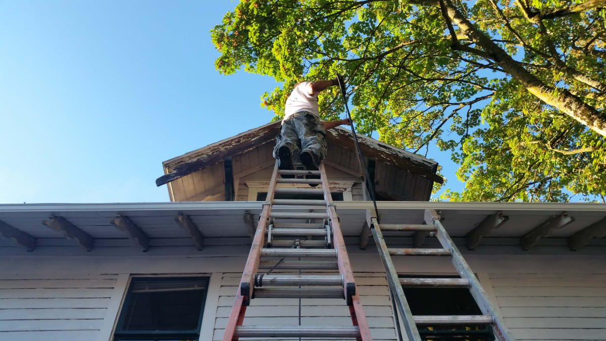 Adorn After Pics - ADORN BEFORE PICS Gallery Image