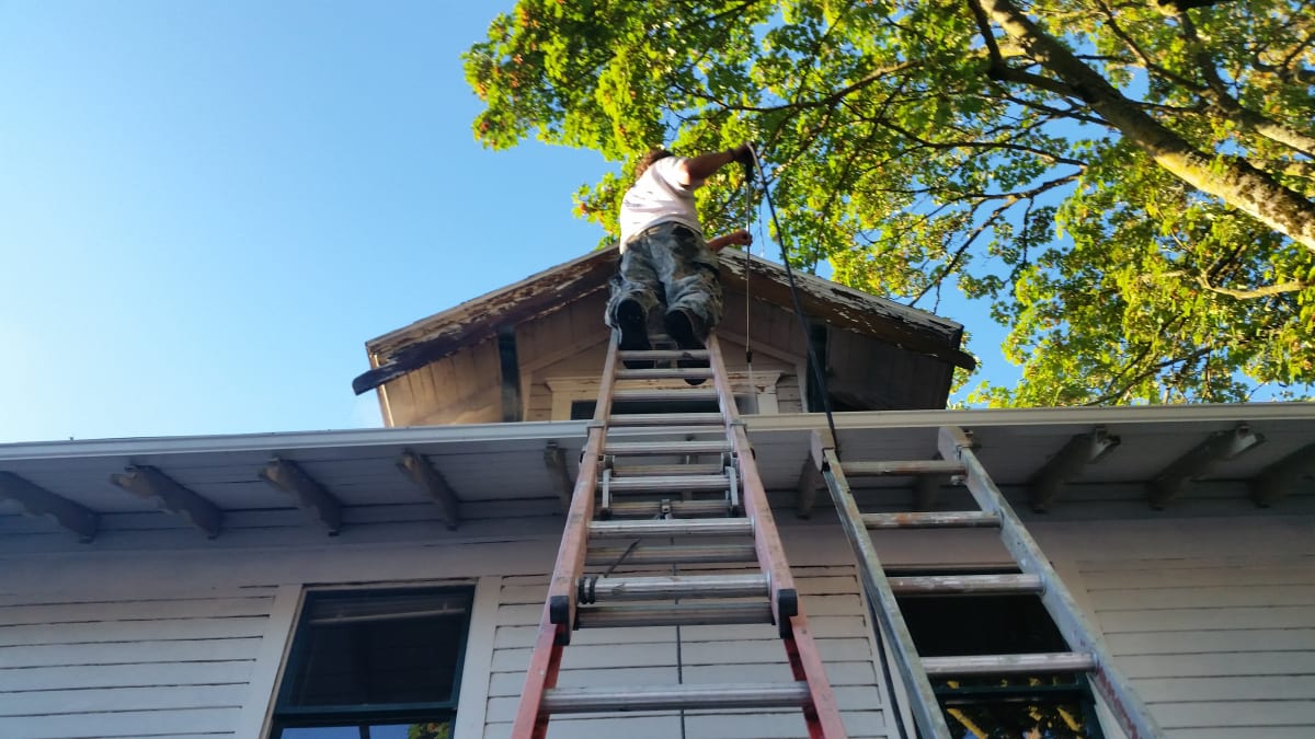 Adorn After Pics - ADORN BEFORE PICS Gallery Image