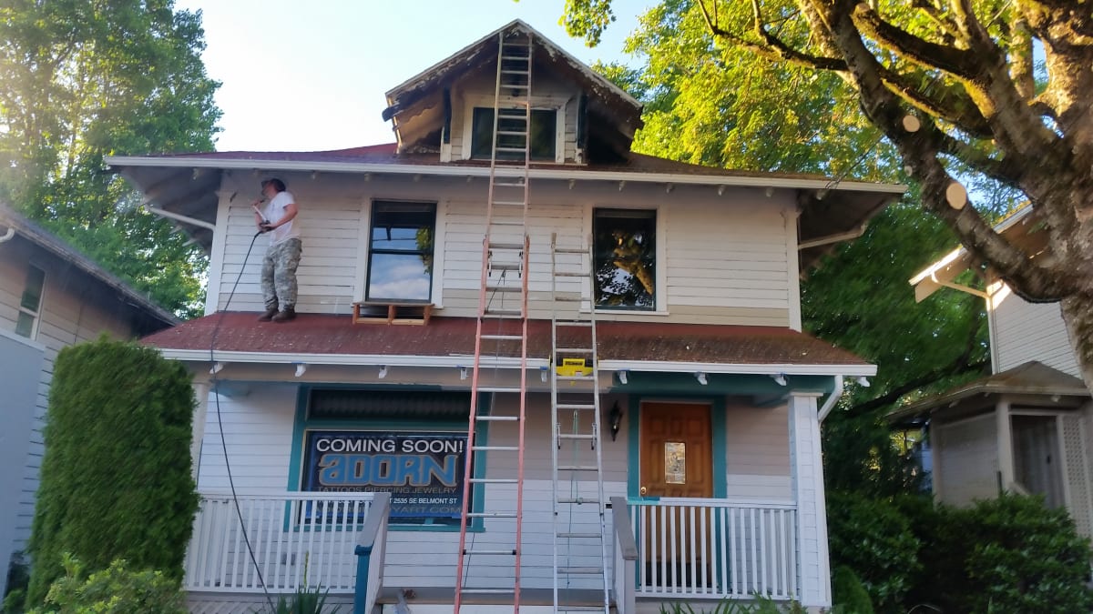 Adorn After Pics - ADORN BEFORE PICS Gallery Image