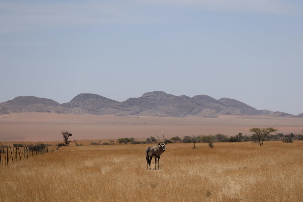 Namibia visa services - Sky Visa