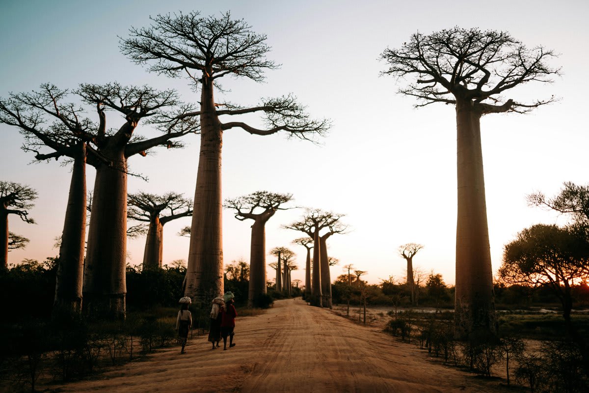 Madagascar visa services - Sky Visa