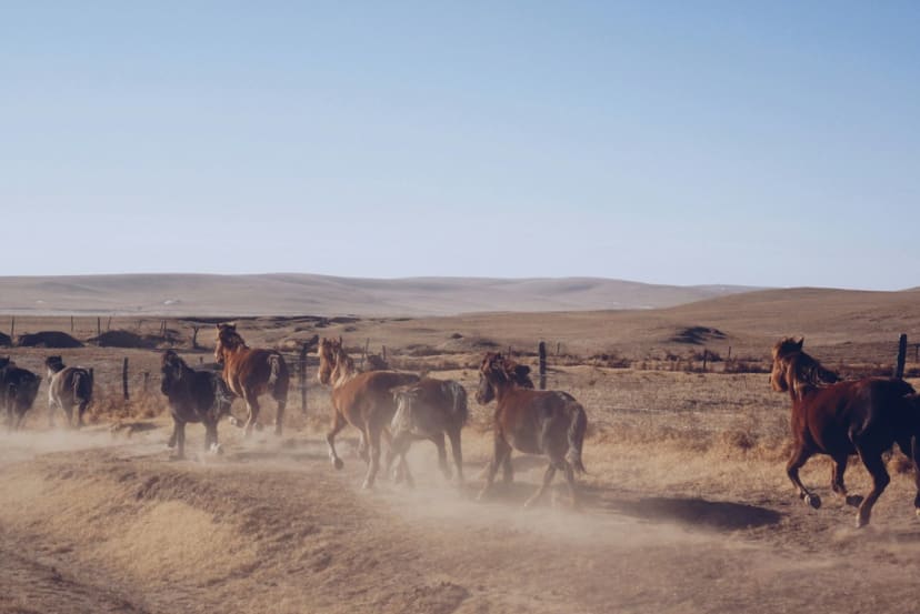 Mongolia