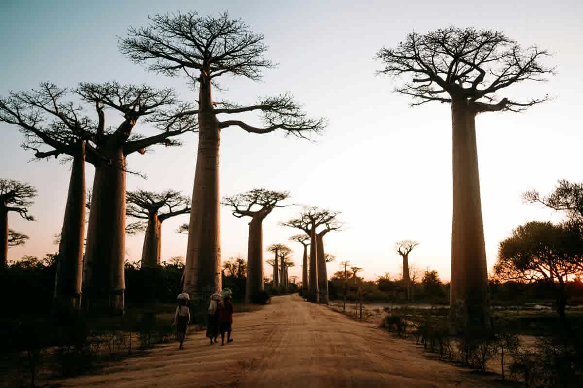 Madagascar