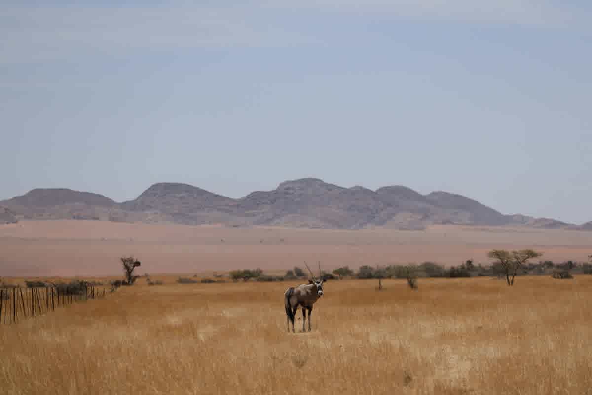 Namibia