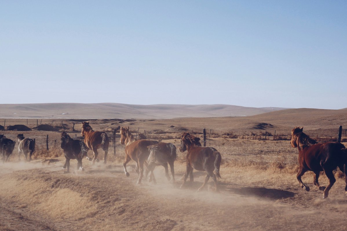 Mongolia