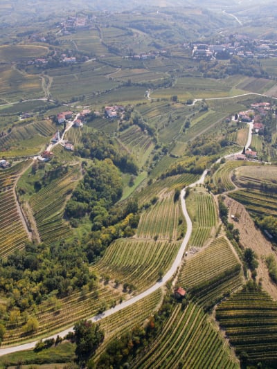 Vinogradi Brd