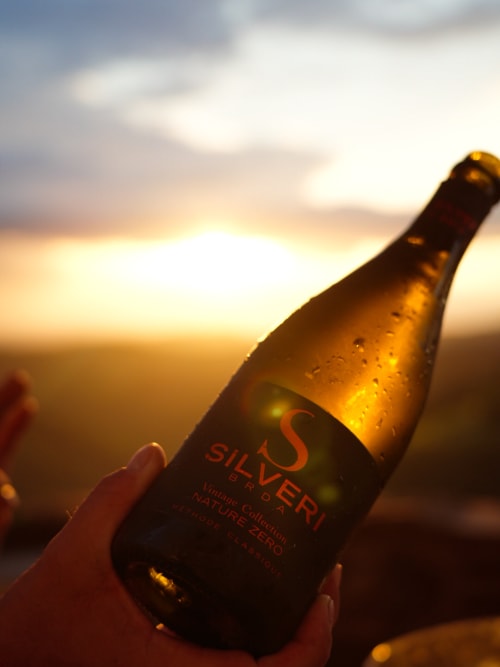 Silveri vino