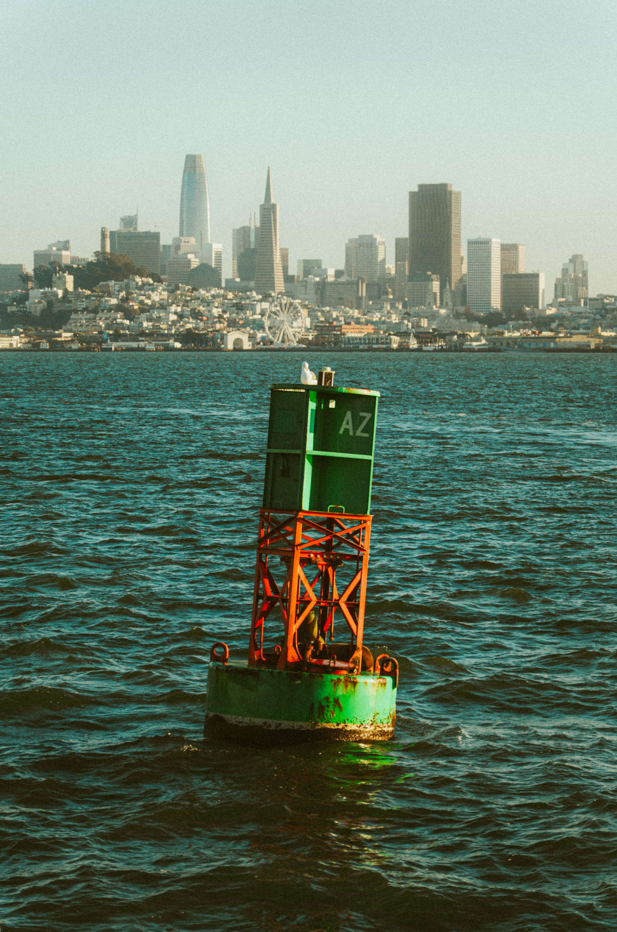 Buoy and the City