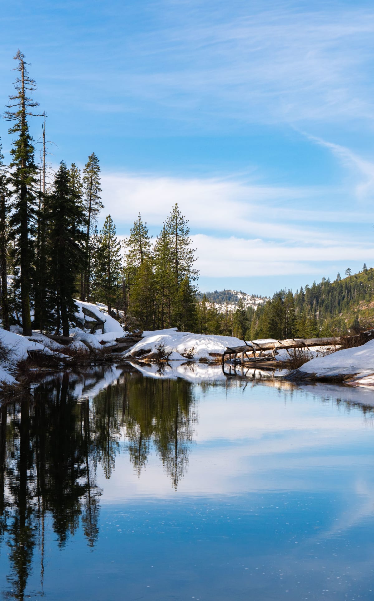 Snowy Pond