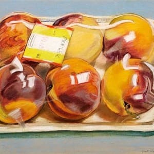 Artwork by Janet Fish