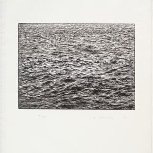 Artwork by Vija Celmins