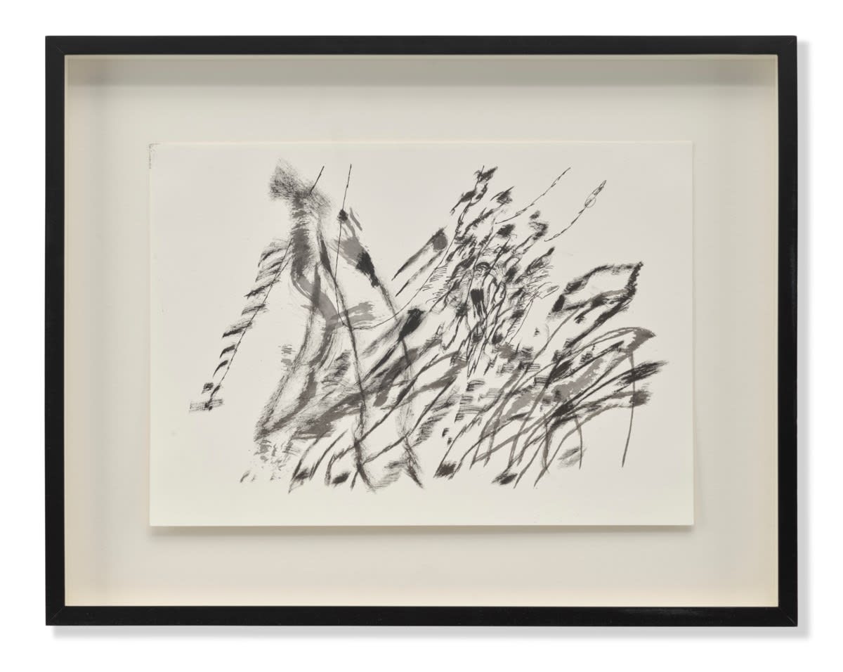 Julie Mehretu