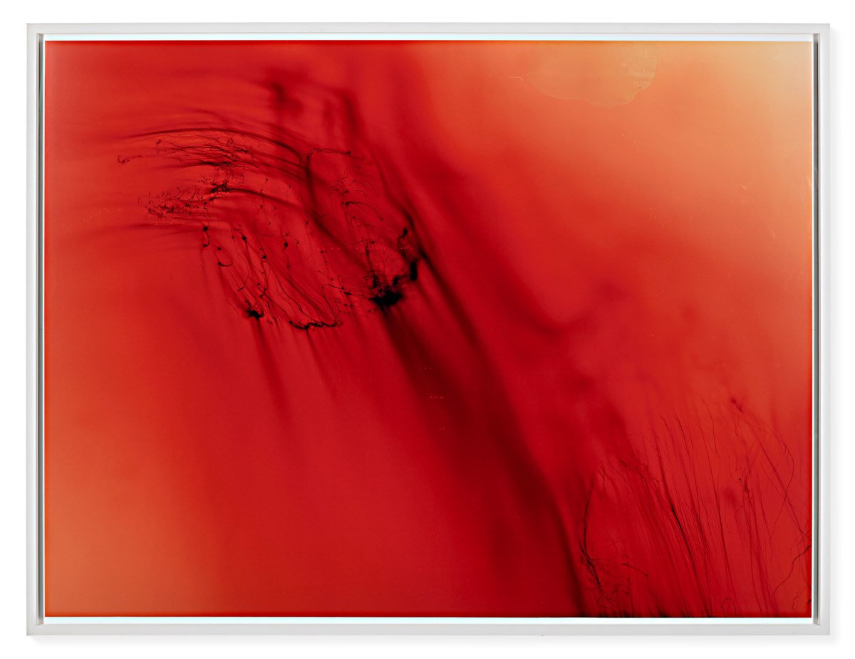 Wolfgang Tillmans