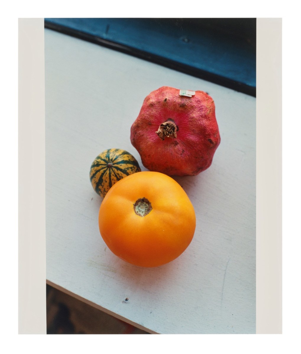 Wolfgang Tillmans