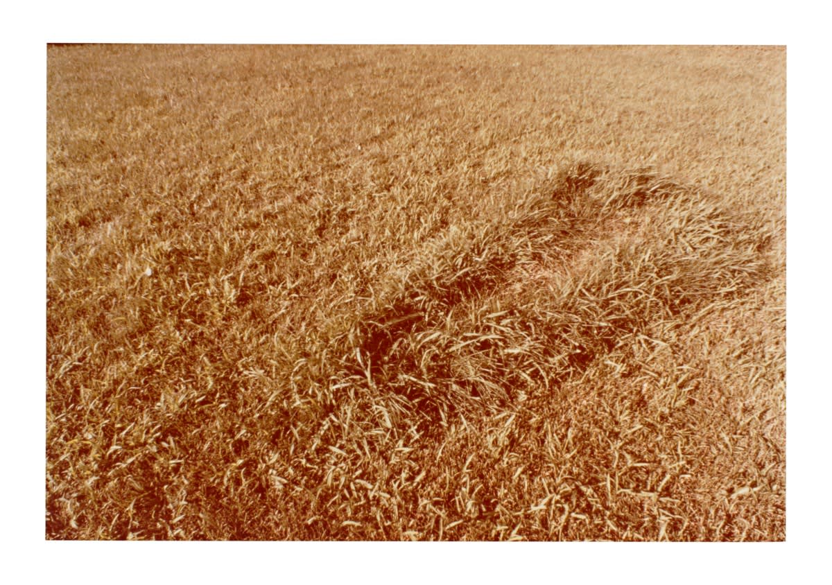 Ana Mendieta