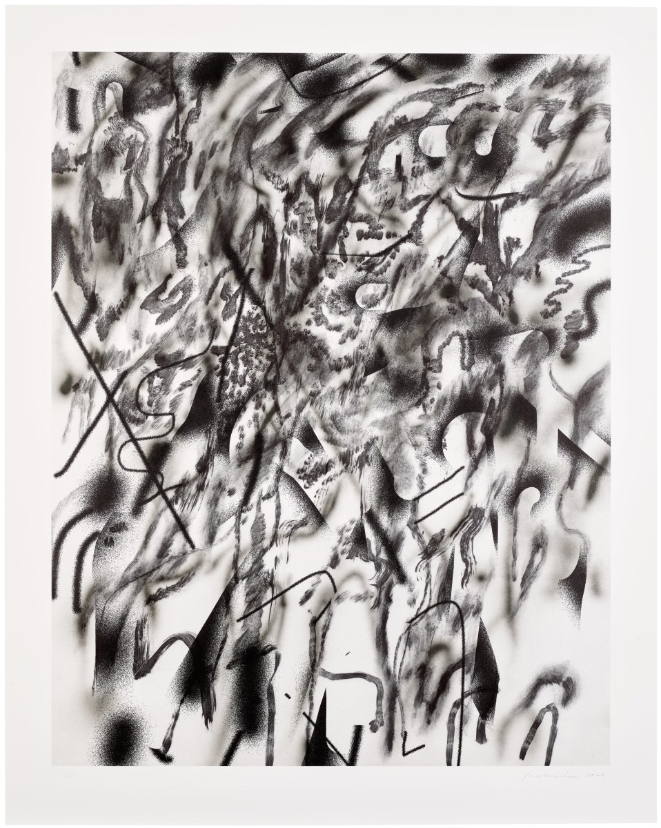 Julie Mehretu