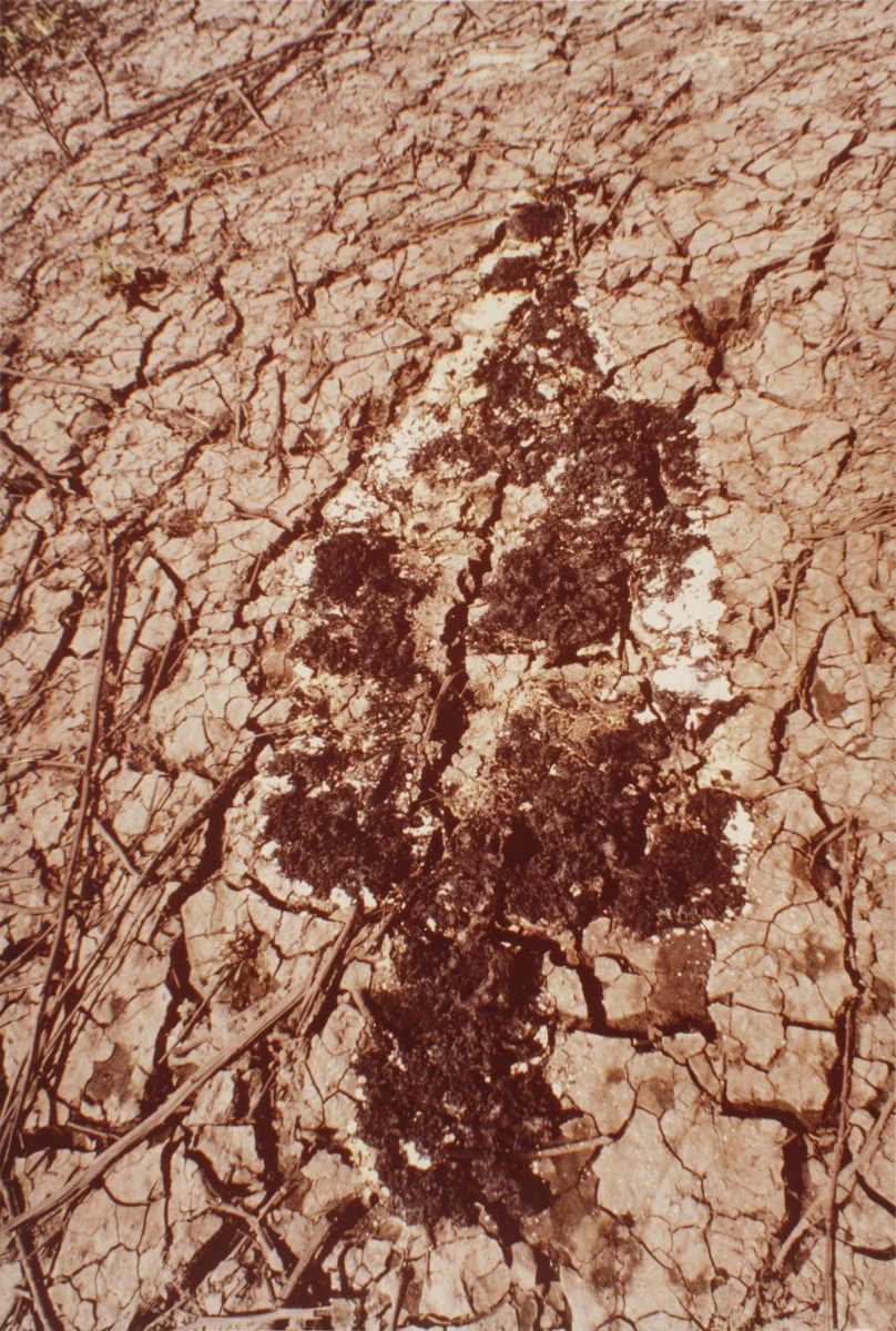 Ana Mendieta