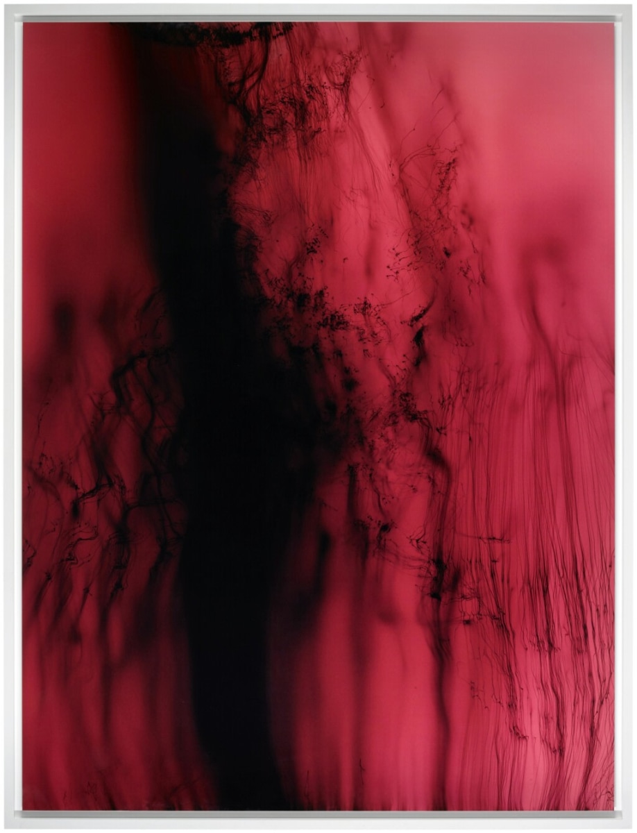 Wolfgang Tillmans