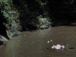 Ana Mendieta