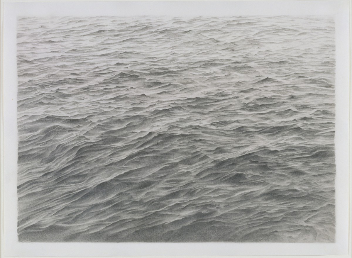 Vija Celmins