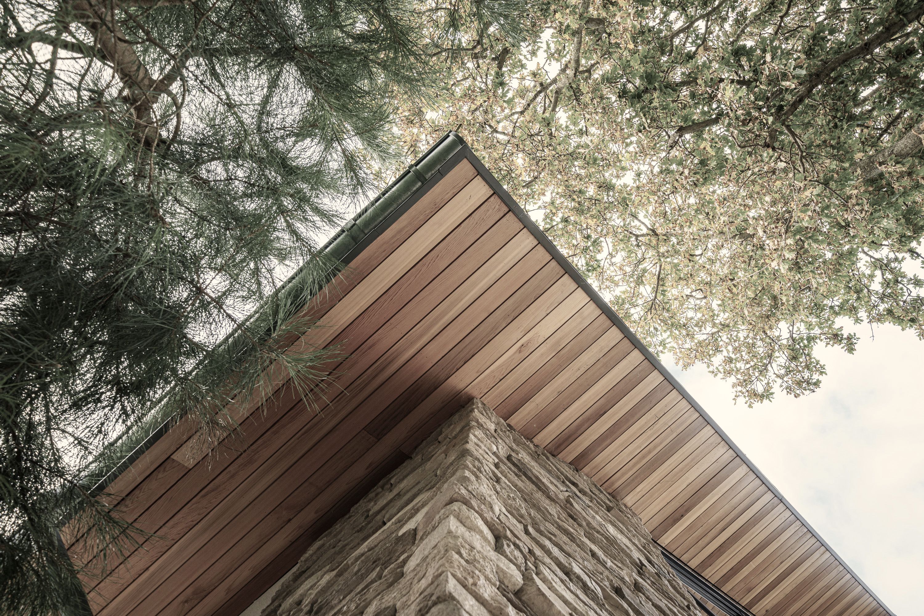 Modern house design in Nova