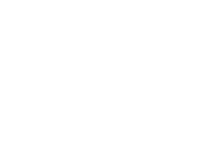 Platform Logo