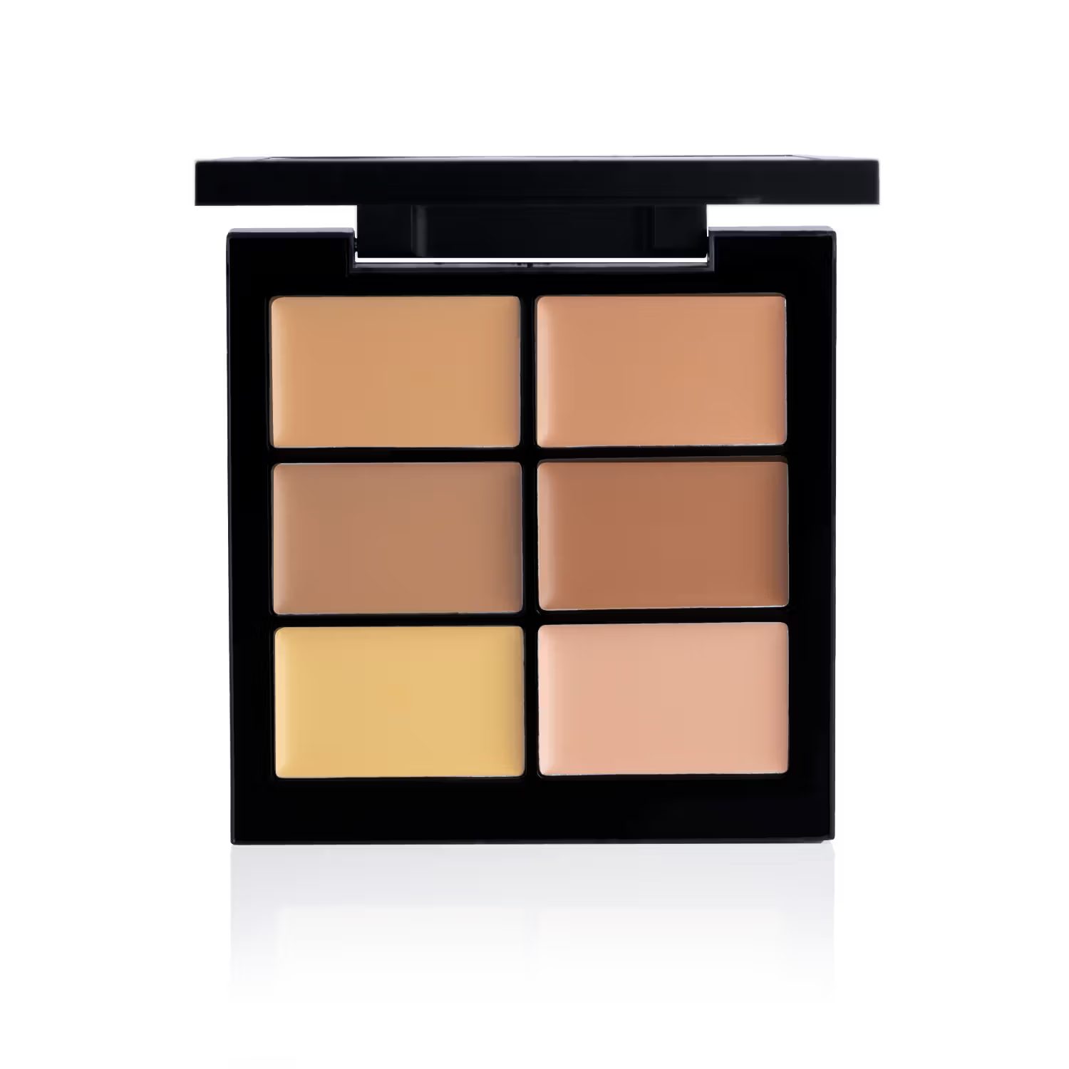 Pac Go Medium Concealer Palette A11H02