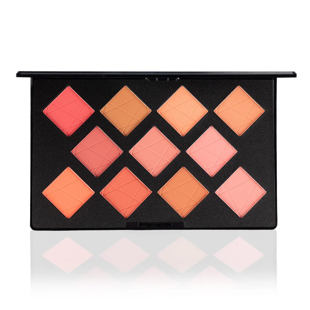 Pac Take Cover Blusher Palette 11Clr