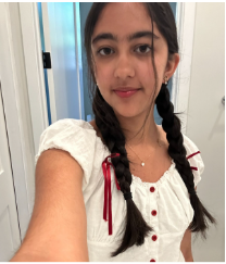 Ambar Vig