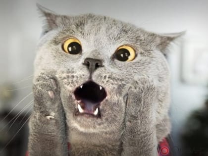 17 февраля в Орле на ул. Комсомольской 15 домов останутся без отопления, ещё 29 - без горячей воды