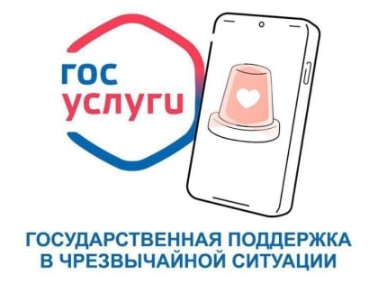 Государственная поддержка в чрезвычайной ситуации