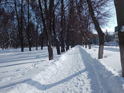 Как изменятся скверы им. Гуртьева и им. Бунина в Орле