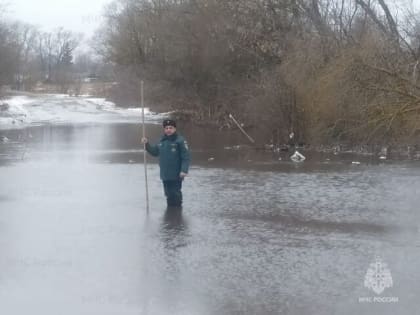 В Орловской области подтопило первый низководный мост