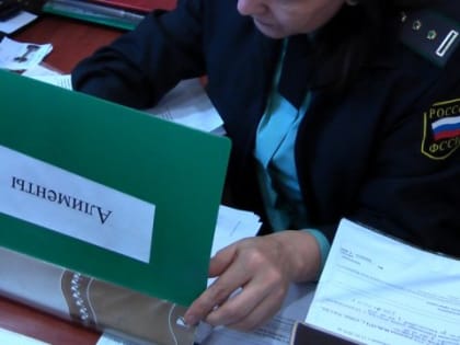 Больше 300 орловских алиментщиков попали под уголовные дела