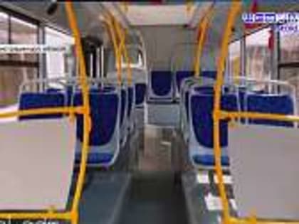 Сегодня юбилей отмечает Заслуженный тренер РФ Владимир Амелехин, в Северном районе в Прокуровском лесу начали спиливать деревья из-за строительства дороги, а в Орле в рейсы выпусти