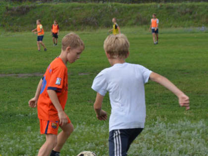 В двух Ливенских школах отремонтируют спортзалы и площадки и оснастят их спортивным инвентарём