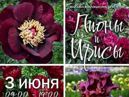 В Орле во второй раз проведут фестиваль цветов "Стрелка"