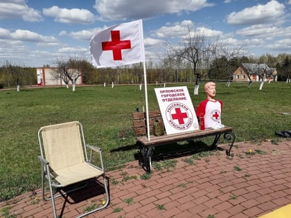 В Орле председателя Красного Креста осудили за мошенничество