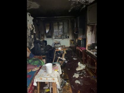 По факту смертельного пожара в Орле проводится доследственная проверка