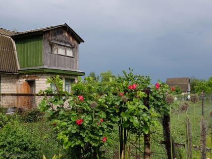 Росреестр разработал методические рекомендации по бесплатной догазификации СНТ