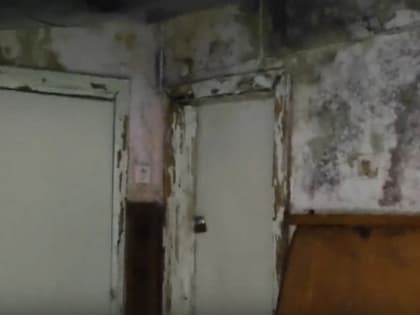 Орловцы пожаловались на ФАП с плесенью и дырявым полом