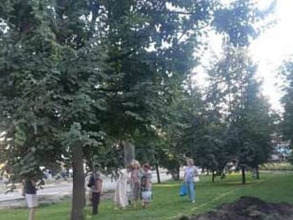 В Орле на ул. Комсомольской в сквере Ветеранов перед Днём города начали вырубать деревья