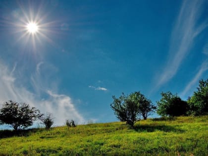 На Орловщине установилась жаркая погода