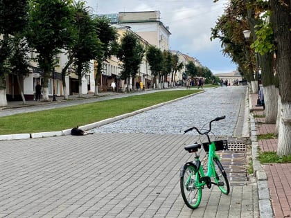 Область может потребовать назад деньги за отлов животных