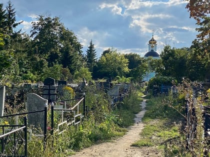 Причины младенческой смертности названы в Орле