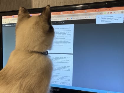 В Орловской области помогут самозанятым