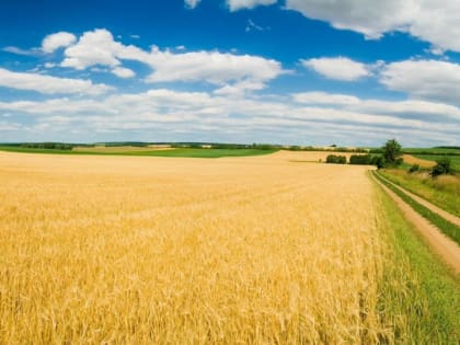 Для орловского агросектора объявлен социальный конкурс